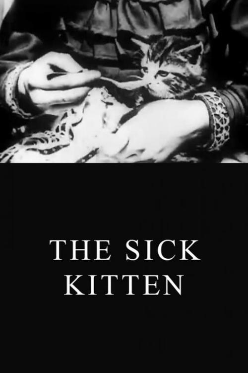 The Sick Kitten