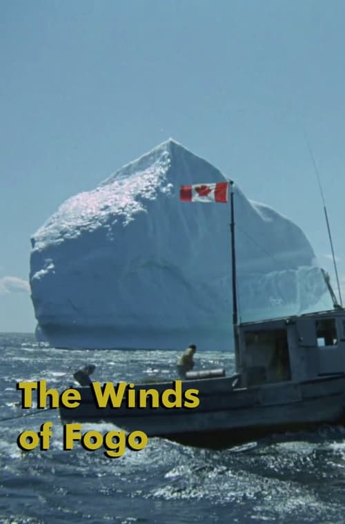 The Winds of Fogo