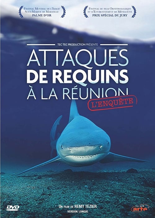 Attaques de Requins à La Réunion : L'enquête