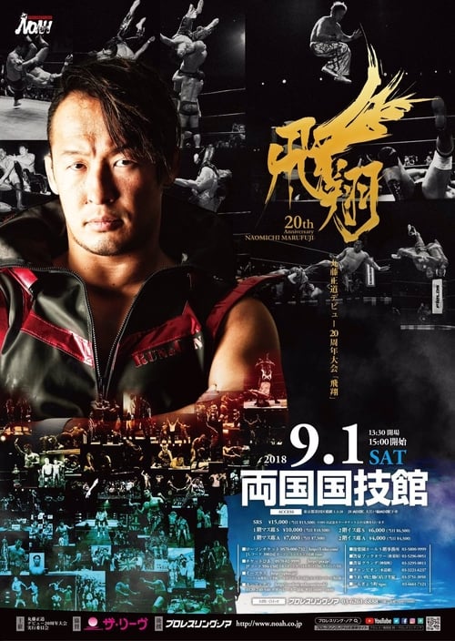 NOAH: Naomichi Marufuji 20th Anniversary Show