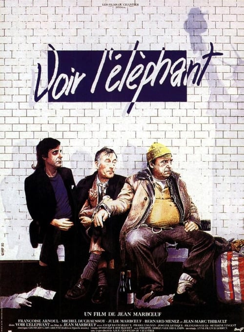 Voir l'éléphant