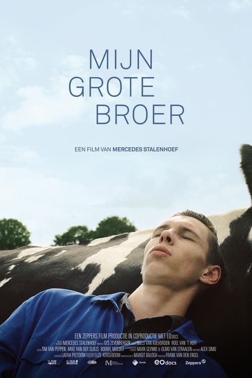 Mijn grote broer