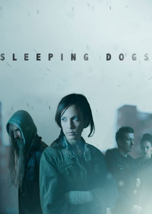 Sleeping Dogs