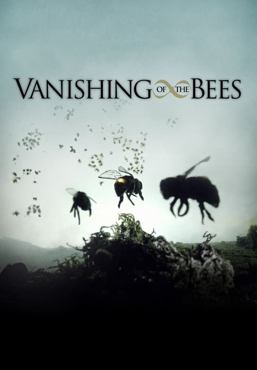 Vanishing of the Bees