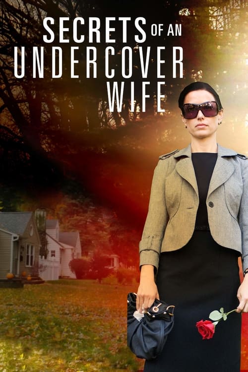 Secrets of an Undercover Wife