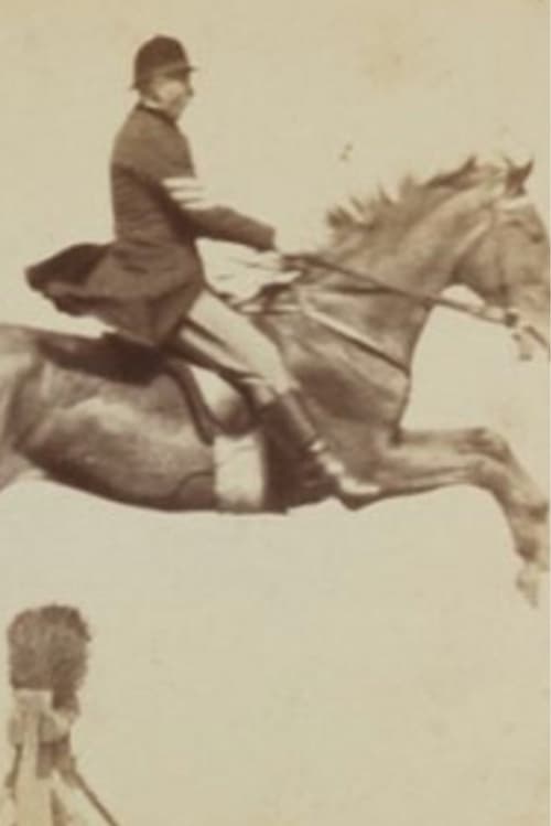 Horse and Rider Jumping Over an Obstacle