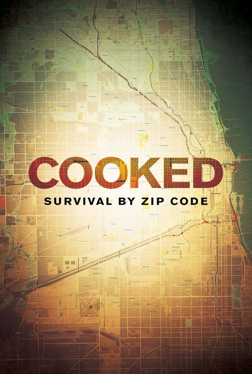 Cooked: Survival by Zip Code