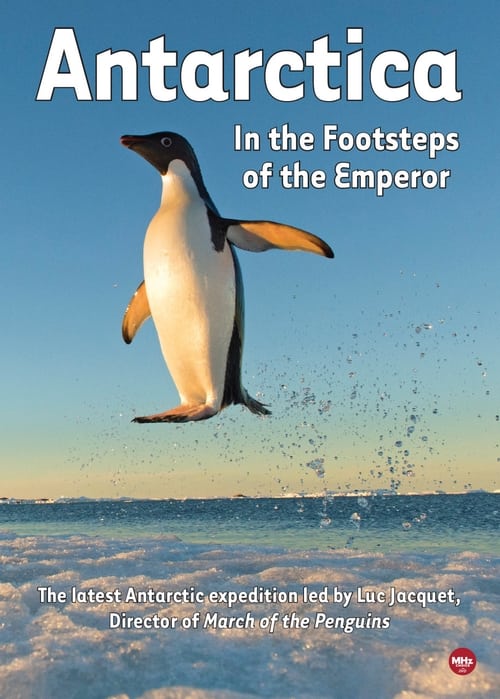 Antarctica, in the footsteps of the Emperor